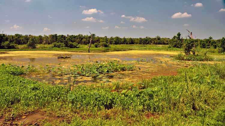 lake, scenic